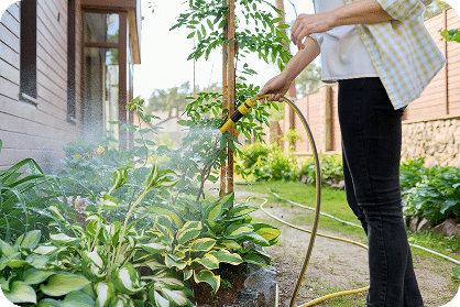 Zout vs. Zoutloos: Welke Waterontharder Past het Best bij Jou?